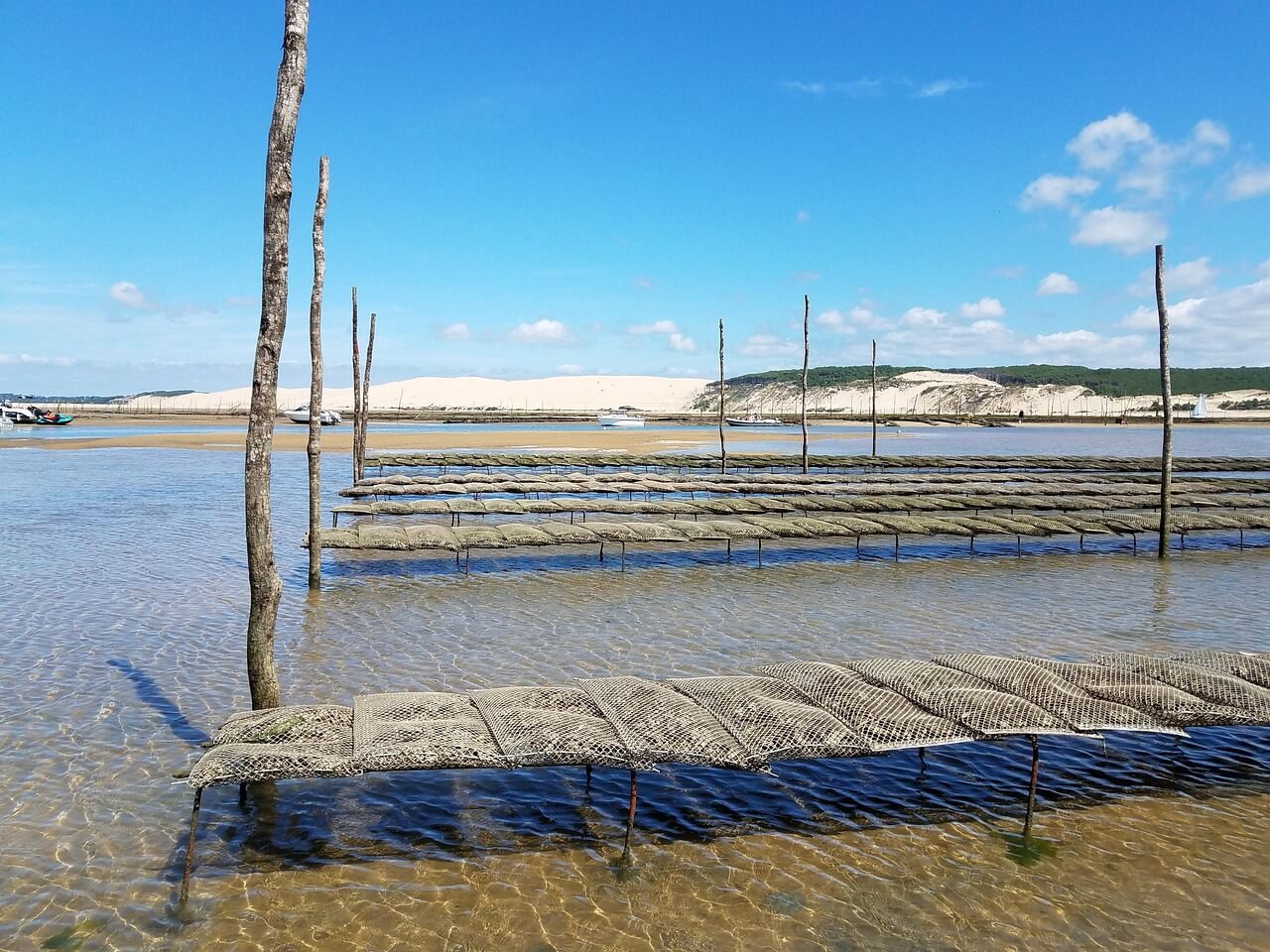 Bassin d'Arcachon