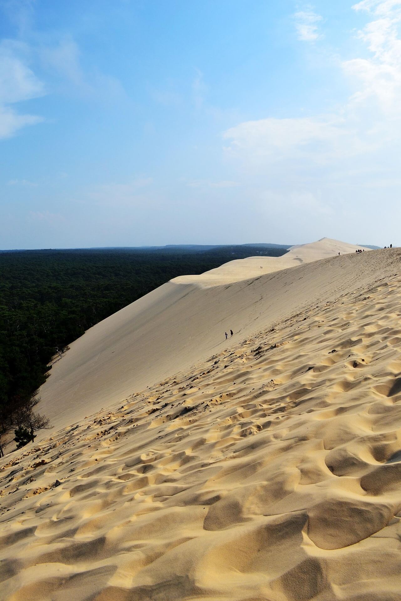 Dune du Pyla